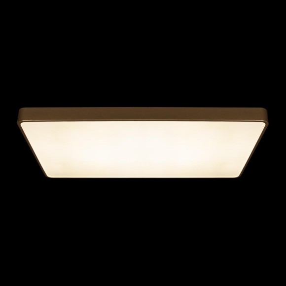 10228/E Потолочный светильник LOFT IT Flims