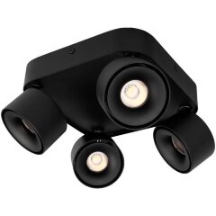 10326 Black Накладной светильник LOFT IT Case