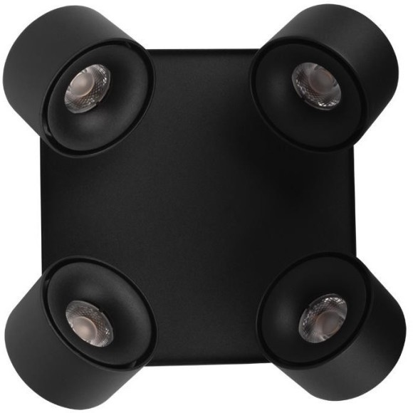 10326 Black Накладной светильник LOFT IT Case