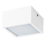 Уличный потолочный светильник Lightstar 213926 Zolla IP44 светодиодный LED 100W