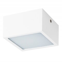 Уличный потолочный светильник Lightstar 213926 Zolla IP44 светодиодный LED 100W Уличный потолочный светильник Lightstar 213926 Zolla IP44 светодиодный LED 100W