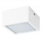Уличный потолочный светильник Lightstar 213926 Zolla IP44 светодиодный LED 100W