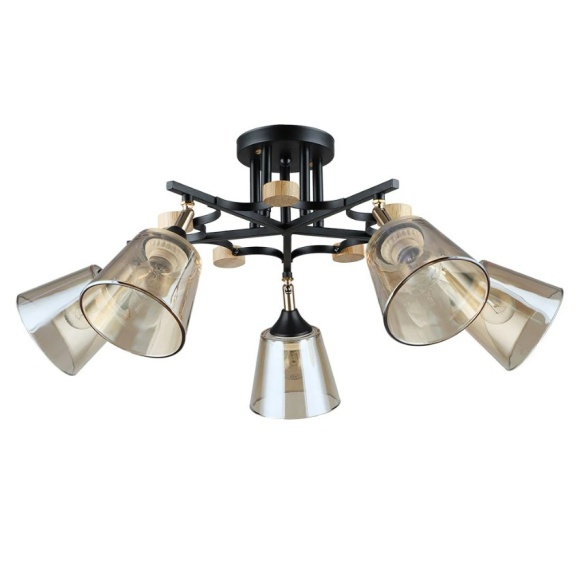 Потолочная люстра со стеклянными плафонами Arte Lamp GLASSY A5078PL-5BK лампы 5шт E27