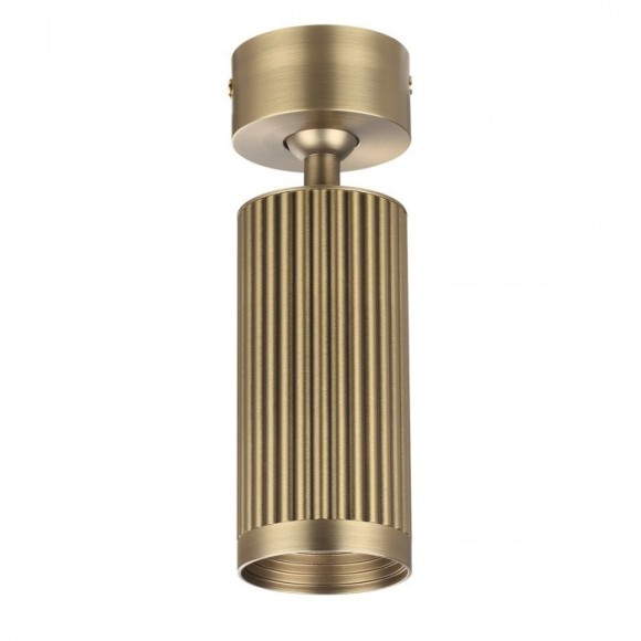 Потолочный светильник поворотный на 360° Odeon Light MANCHESTER 7013/1C