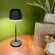 Настольная лампа EGLO MANNERA 900457, встроенный LED 2.2Вт, 200Лм, CRI 80, сенсорное управление, аккумулятор Li-ion 1800 мАч, IP54, диаметр 110 мм, высота 340 мм