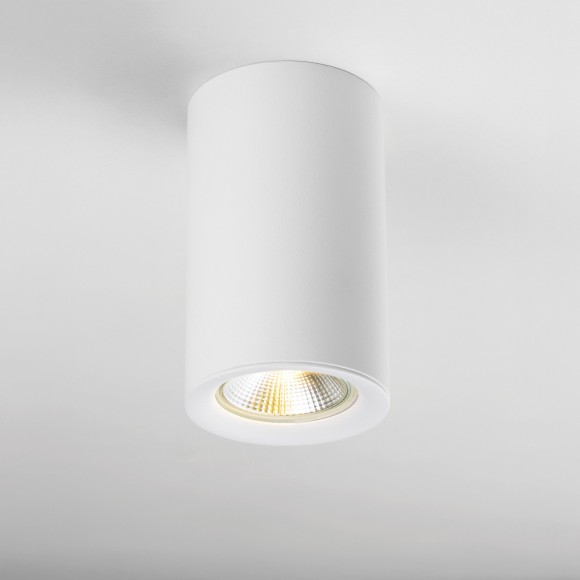 Насадка торцевая на светильник RULLO dia 60 mm Rullo Lightstar 204436 Насадка торцевая на светильник RULLO dia 60 mm Rullo Lightstar 204436