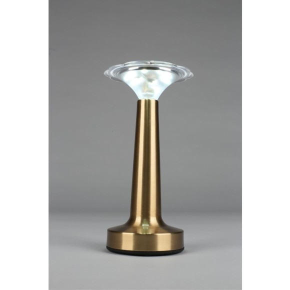 Настольная лампа OML-40204-01 Настольная лампа OML-40204-01