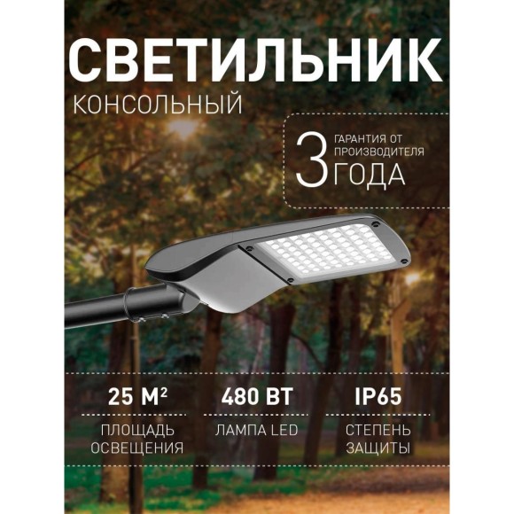Уличный консольный светильник Highway 3042-1U Уличный консольный светильник Highway 3042-1U