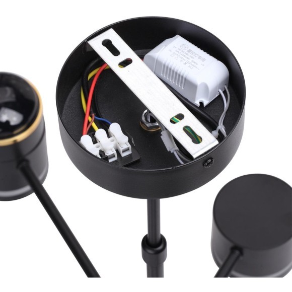 Люстра потолочная GX53 + LED-проектор 3х5W 2700К Lumion VIRSAVA 8234/6C Люстра потолочная GX53 + LED-проектор 3х5W 2700К Lumion VIRSAVA 8234/6C