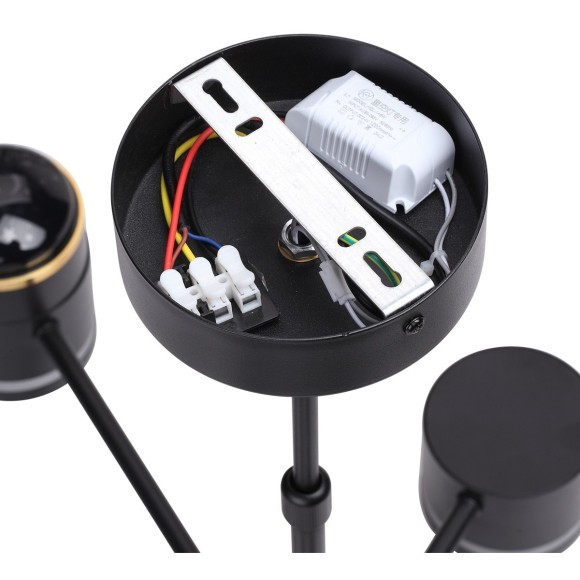 Люстра потолочная GX53 + LED-проектор 3х5W 2700К Lumion VIRSAVA 8234/6C Люстра потолочная GX53 + LED-проектор 3х5W 2700К Lumion VIRSAVA 8234/6C