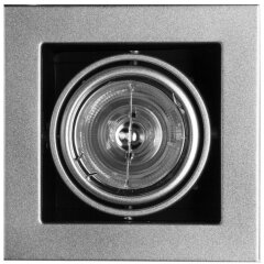 Встраиваемый светильник Arte Lamp A5930PL-1SI CARDANI MEDIO под лампу 1xG53 50W Встраиваемый светильник Arte Lamp A5930PL-1SI CARDANI MEDIO под лампу 1xG53 50W