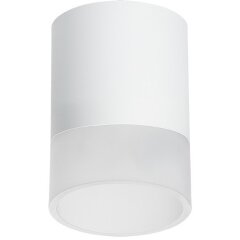 Комплект со светильником Rullo Rullo Lightstar R348681 Комплект со светильником Rullo Rullo Lightstar R348681