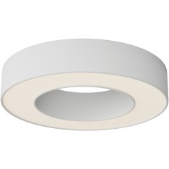 Потолочный светильники Maytoni Lua 3000К 24Вт 120° C093CL-24W3K-W Потолочный светильники Maytoni Lua 3000К 24Вт 120° C093CL-24W3K-W