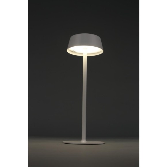 Настольная лампа OML-40514-01