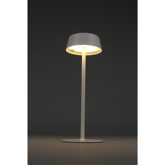 Настольная лампа OML-40514-01