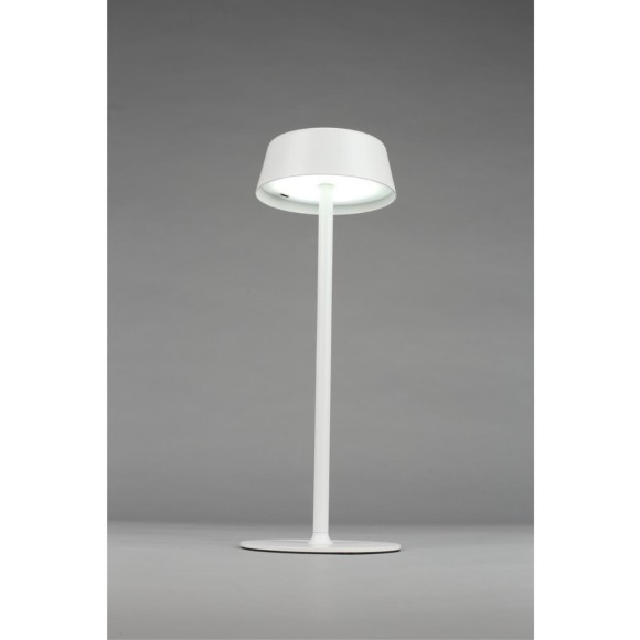 Настольная лампа OML-40514-01