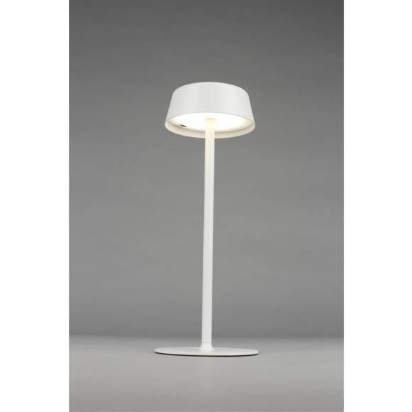 Настольная лампа OML-40514-01