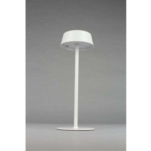 Настольная лампа OML-40514-01