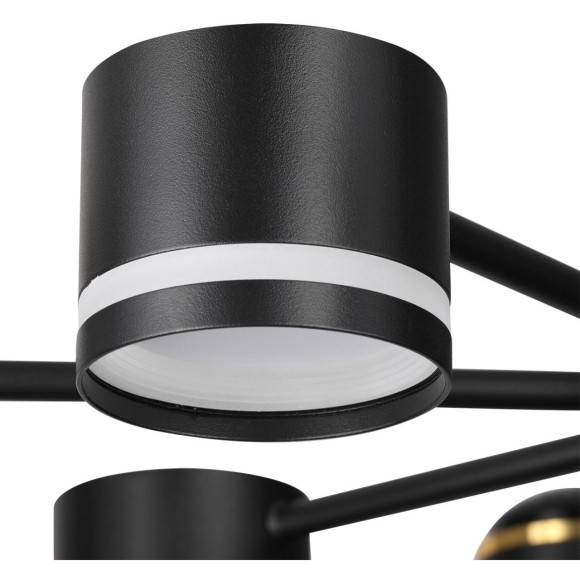 Люстра потолочная GX53 + LED-проектор 4х5W 2700К Lumion VIRSAVA 8234/8C Люстра потолочная GX53 + LED-проектор 4х5W 2700К Lumion VIRSAVA 8234/8C