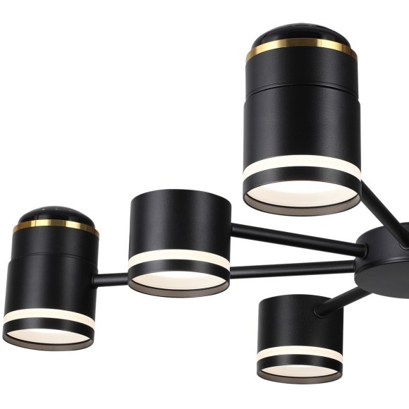 Люстра потолочная GX53 + LED-проектор 4х5W 2700К Lumion VIRSAVA 8234/8C Люстра потолочная GX53 + LED-проектор 4х5W 2700К Lumion VIRSAVA 8234/8C