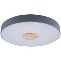 10003/24 Grey Потолочный светильник LOFT IT Axel