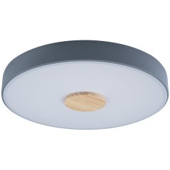 10003/24 Grey Потолочный светильник LOFT IT Axel 10003/24 Grey Потолочный светильник LOFT IT Axel