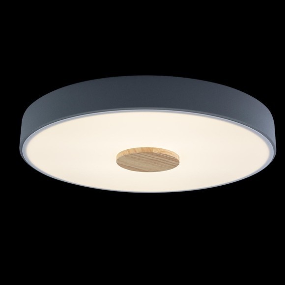 10003/24 Grey Потолочный светильник LOFT IT Axel 10003/24 Grey Потолочный светильник LOFT IT Axel