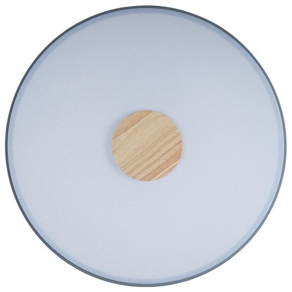 10003/24 Grey Потолочный светильник LOFT IT Axel 10003/24 Grey Потолочный светильник LOFT IT Axel