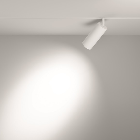 TR032-2-20W3K-S-W Трековый магнитный светодиодный светильник Maytoni Exility CRI90+ 3000К 1600Лм 24° 20Вт