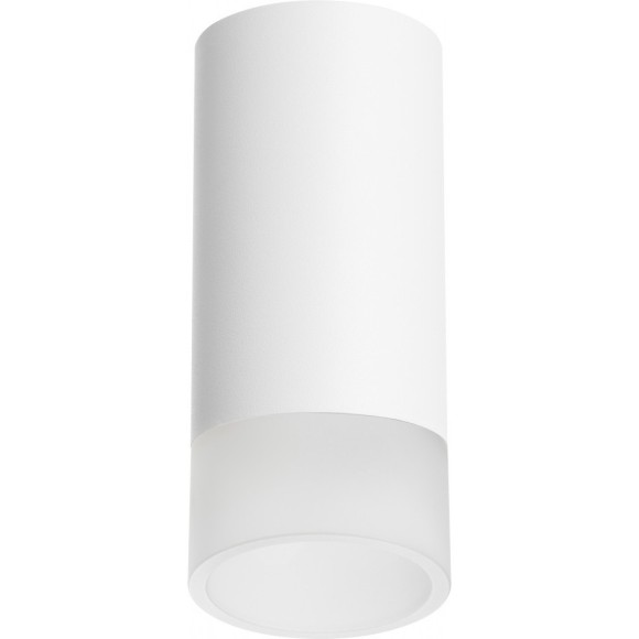 Накладной потолочный светильник Lightstar R43631 RULLO под лампу 1xGU10 50W