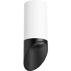 Накладной потолочный светильник Lightstar R43637 RULLO под лампу 1xGU10 50W Накладной потолочный светильник Lightstar R43637 RULLO под лампу 1xGU10 50W