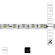 Arte Lamp A2406010-03-3K Светодиодная лента SPI (по-пиксельное цифровое управление участками) теплого света, длина 5 метров, ширина 10мм, SMD5050 60шт/м 14,4Вт/м 1000Лм/м 3000К CRI90+ 120° IP20 24В, кратность резки 100мм, -20°...+45°C