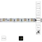 Arte Lamp A2406010-03-3K Светодиодная лента SPI (по-пиксельное цифровое управление участками) теплого света, длина 5 метров, ширина 10мм, SMD5050 60шт/м 14,4Вт/м 1000Лм/м 3000К CRI90+ 120° IP20 24В, кратность резки 100мм, -20°...+45°C