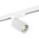 Светильник для 1-фазного шинопровода под заменяемые LED лампы Rullo Lightstar 212936