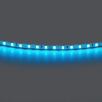 Лента цветного свечения 24V, голубой Lightstar Lightstar 420516