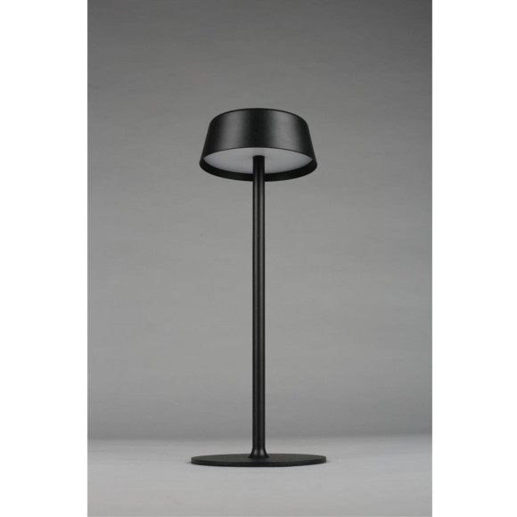 Настольная лампа OML-40504-01