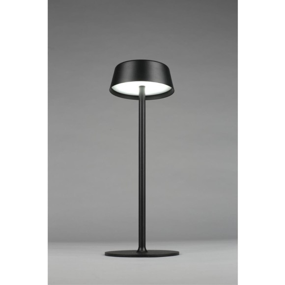 Настольная лампа OML-40504-01