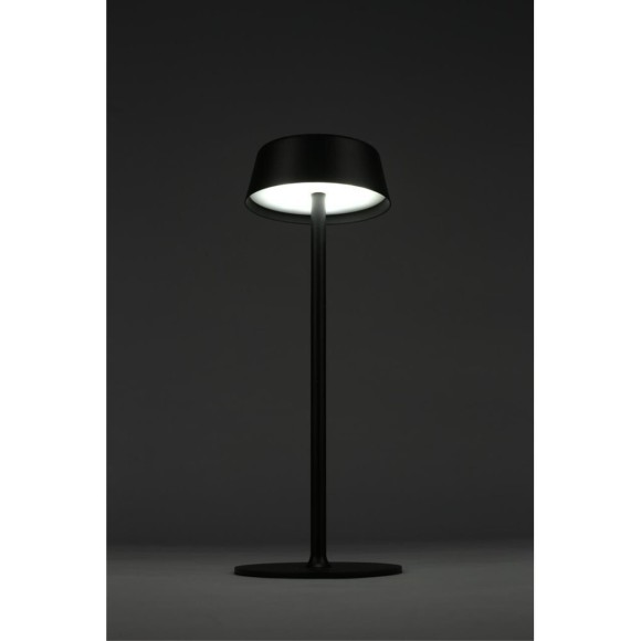 Настольная лампа OML-40504-01