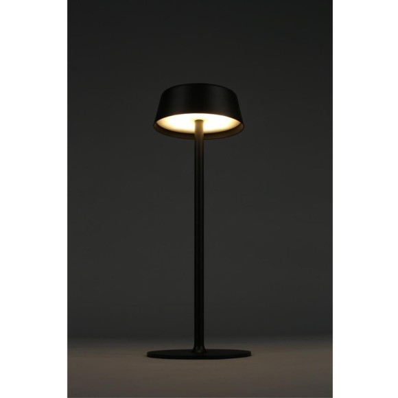 Настольная лампа OML-40504-01