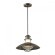 Уличный подвесной светильник Odeon Light 4164/1 DANTE IP23 под лампу 1xE27 1*60W