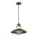 Уличный подвесной светильник Odeon Light 4164/1 DANTE IP23 под лампу 1xE27 1*60W