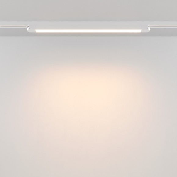 Трековый светильник Technical TR000-1-24W3K-W_1