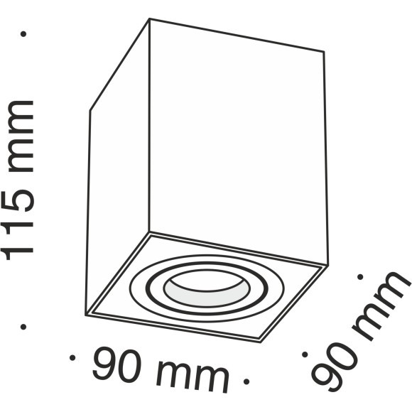 Потолочный светильник Technical C017CL-01S
