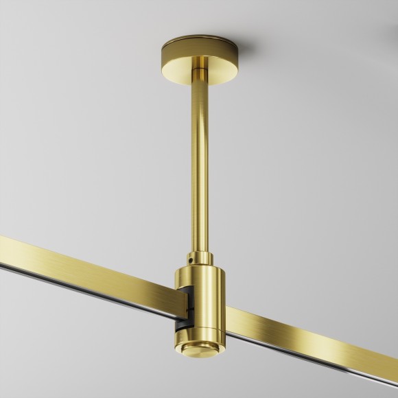 Потолочная стойка для 2 уровня Short (без питания) Maytoni Flarity TRA156C-SL1-BS Потолочная стойка для 2 уровня Short (без питания) Maytoni Flarity TRA156C-SL1-BS