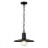 Уличный подвесной светильник Odeon Light 4833/1 FURCADIA IP44 под лампу 1xE27 1*40W