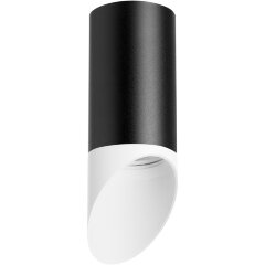 Накладной потолочный светильник Lightstar R43736 RULLO под лампу 1xGU10 50W Накладной потолочный светильник Lightstar R43736 RULLO под лампу 1xGU10 50W