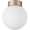 Люстра потолочная Lightstar 812013 Globo под лампу 1xE14 40W