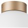 Люстра потолочная Lightstar 812013 Globo под лампу 1xE14 40W