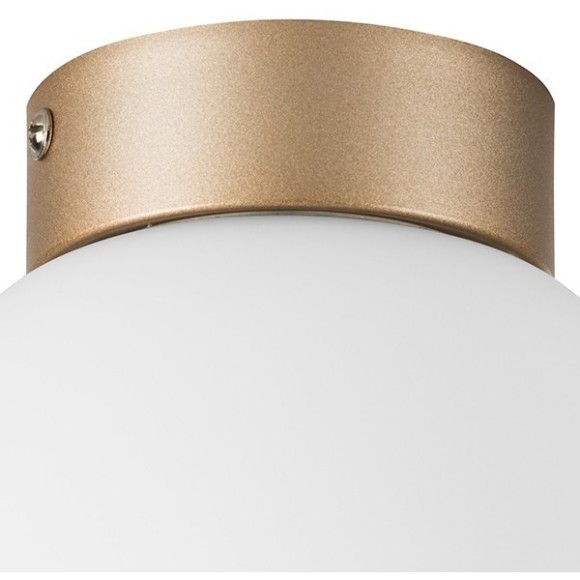 Люстра потолочная Lightstar 812013 Globo под лампу 1xE14 40W Люстра потолочная Lightstar 812013 Globo под лампу 1xE14 40W