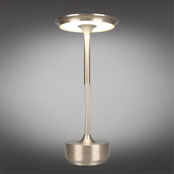 Настольная лампа APL.064.14.05